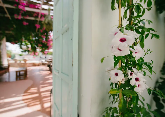 Gorgona فندق فاليراكي