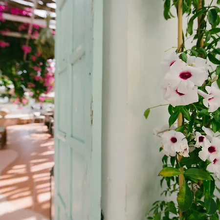 Gorgona Hotel Faliraki