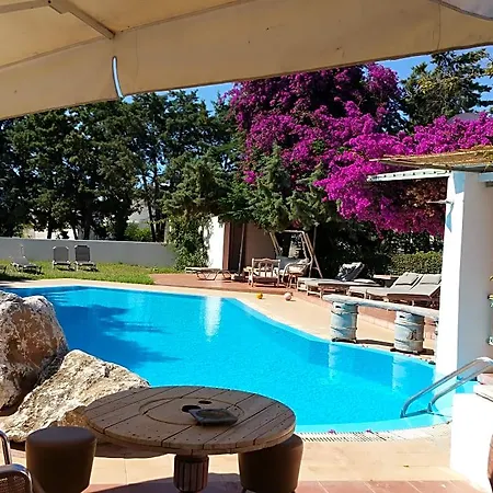 Gorgona Hotel 2*